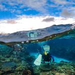 水納島・瀬底島でダイビング!沖縄北部も楽しいダイビング!!