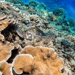 いい天気の沖縄!ダイビング日和でした!