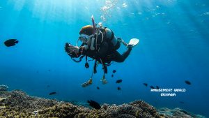 恩納村 ダイビングライセンス