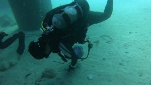 恩納村 ダイビングライセンス