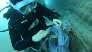 恩納村 ダイビングライセンス