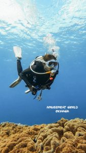 恩納村 ダイビングライセンス