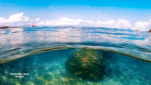 恩納村 ダイビングライセンス