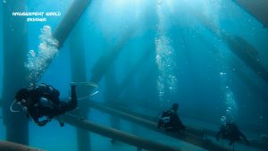 恩納村 ダイビングライセンス