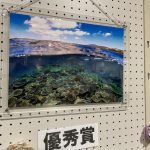 恩納村に飾られてました。