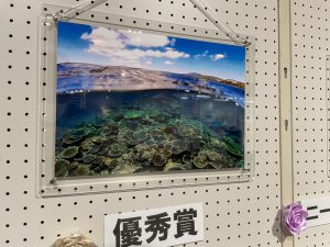 恩納村に飾られてました。