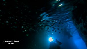 恩納村 ダイビングライセンス