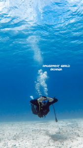 恩納村 ダイビングライセンス