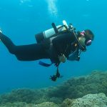 砂辺でダイビング!与那国前に潜ってました。