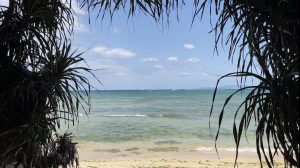 ダイビング水中クリーン＆ビーチクリーン場所の下見