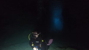 恩納村 ダイビングライセンス