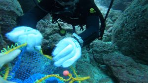 恩納村 ダイビングライセンス