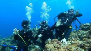 恩納村 ダイビングライセンス