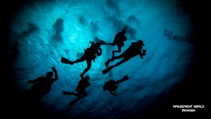 与那国 ダイビング