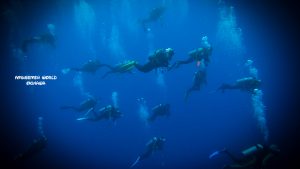 与那国 ダイビング