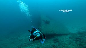 恩納村 ダイビングライセンス