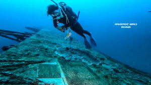 エモンズ ダイビング