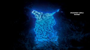 沖縄 ドリームホール