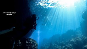 恩納村 ダイビングライセンス