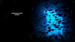 恩納村 ダイビングライセンス