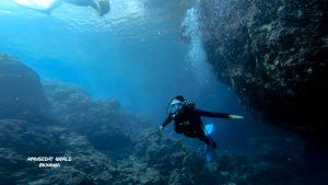 恩納村 ダイビングライセンス