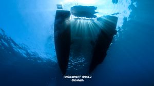 恩納村 ダイビングライセンス