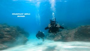 恩納村 ダイビングライセンス