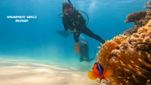 恩納村 ダイビングライセンス