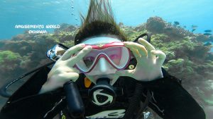 恩納村 ダイビングライセンス