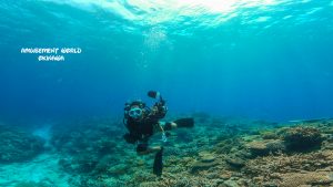 恩納村 ダイビングライセンス