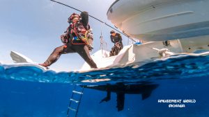 プライベートダイビング　ケラマで完全貸し切り豪華ダイビング