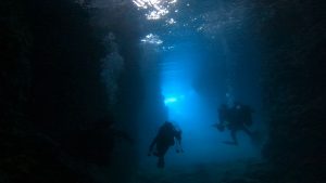 恩納村 ダイビングライセンス