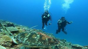 沖縄恩納村 ダイビングライセンス