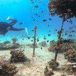 スタッフトレーニングダイビング 沖縄恩納村真栄田岬