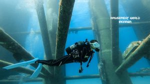 恩納村 ダイビングライセンス