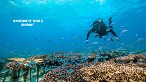 恩納村 ダイビングライセンス