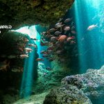 恩納村でアドバンスライセンス講習!やっと恩納村の海穏やかに!