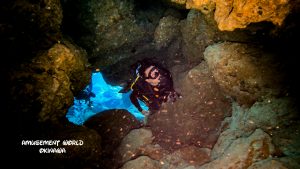 恩納村 ダイビングライセンス