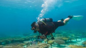 沖縄 ダイビングライセンス