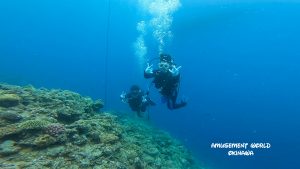 恩納村 ダイビングライセンス