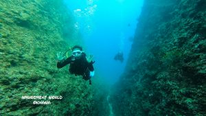 恩納村 ダイビングライセンス