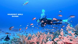 ドリフトダイビング