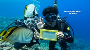 恩納村 ダイビングライセンス