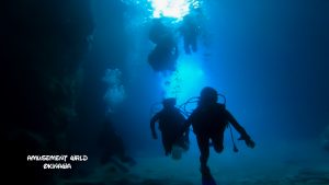 恩納村ダイビングライセンス