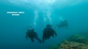 恩納村 ダイビングライセンス