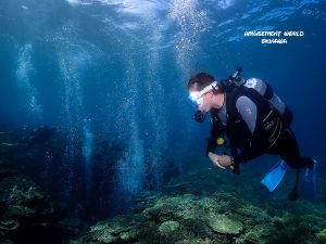 恩納村 ダイビング