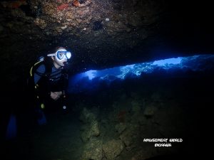 沖縄恩納村万座でファンダイビング!デカい魚も登場です!