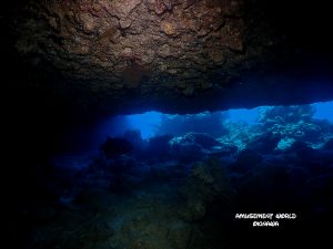 恩納村 ダイビング