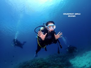 恩納村 ダイビングライセンス