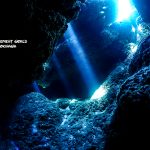 慶良間（ケラマ）でファンダイビング！久しぶりのケラマにご案内